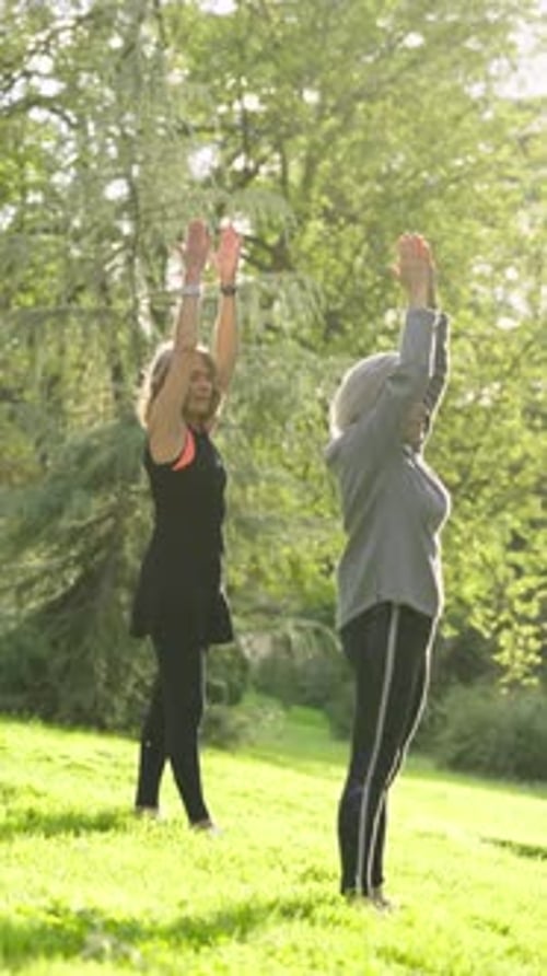 Two Senior Women Practicing Yoga Outdoors in a Sunlit Park Vertical