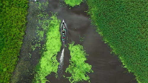 Barco por las selvas tropicales de la selva viajando por el río Amazonas en Perú