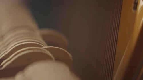 Macro Shot of an Accordion Bellows