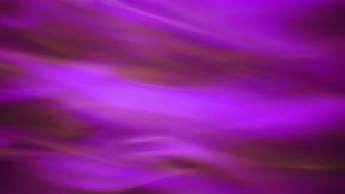 Abstract Purple Colorful Gradient Waves in Seamless Loop