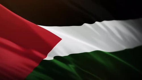 Waving Flag of Palestine Loopable Animation Background