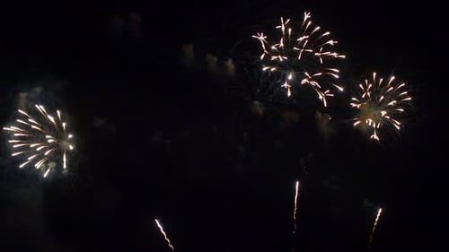 Fireworks Exploding in the Night Sky Celebration
