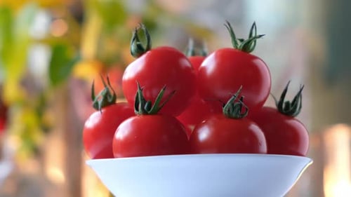 Fresh Tomatoes in White Bowl, Bright Close-Up