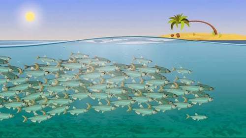 Schule von Thunfischen, die zusammen unter Wasser schwimmen, Meerestiere im Wasser, Zeichentrickfilme