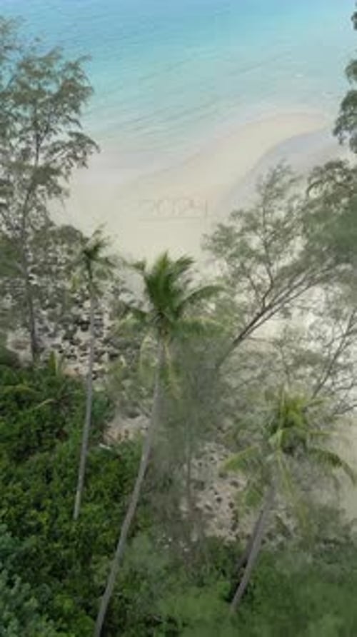 The Year 2024 Written on a Tropical Beach Concept of a Beach Getaway in 2024