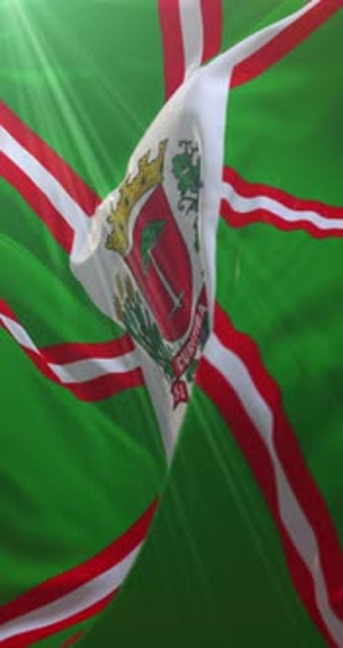 Curitiba Flag