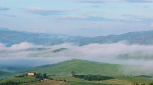 Scenic Rolling Hills with Morning Fog