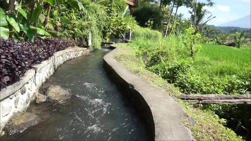 water flows from the gutter. stream hd videos. the coolness of the flowing water in the Balinese cou