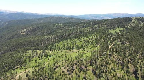 La cime des arbres avec vue aérienne