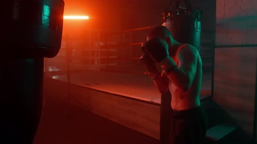 Boxer Roter Boxsack