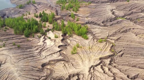 Barren Desert Landscape with Patches of Green Trees