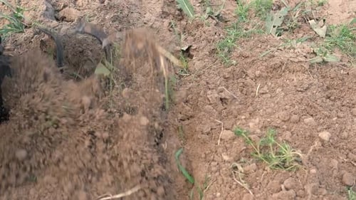 Powerful Cultivator Tiller Gardening Spring Work on the Farm Land Cultivation with a Motor Ripper