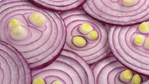 Sliced red onion rotates as background for cooking show, restaurant or food video. Sliced shallot