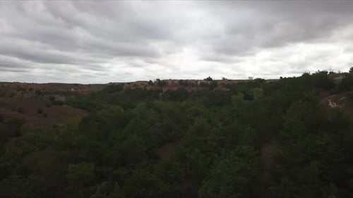 Aerial dolly over a densely populated woodland with uneven terrain
