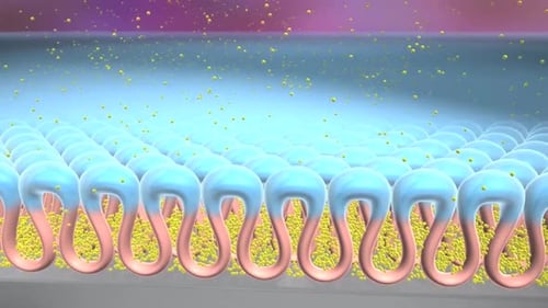Vibrant microscopic view of cellular structure with yellow particles