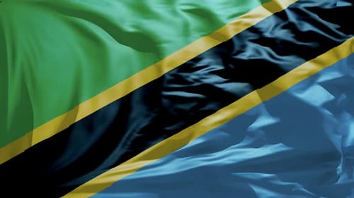 New Tanzania Flag