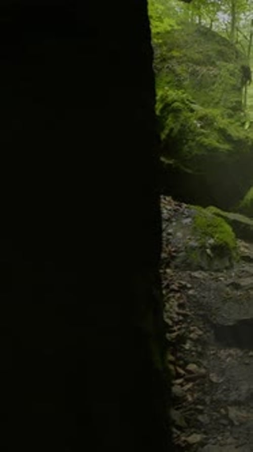 Une vue sereine et magnifique sur un terrain verdoyant avec un reflet subtil et doux de l'eau