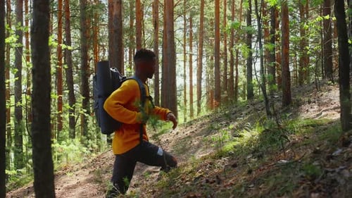 An African American Traveler with a Backpack Walks Through the Forest