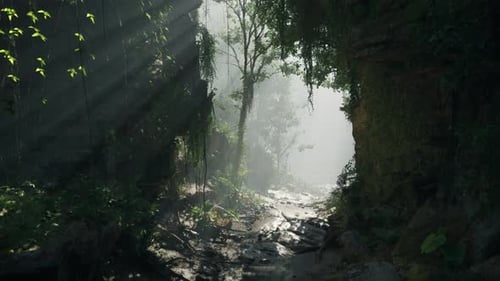A Serene Stream Flowing Through a Vibrant Green Forest Mountain Path