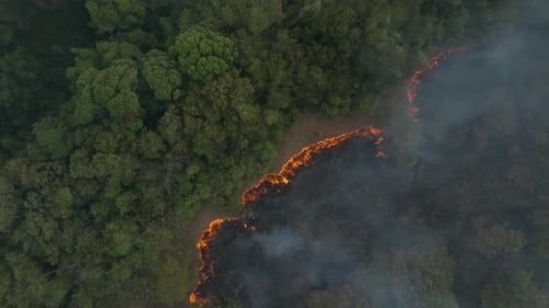 Straight down drone shot of smoke from a forest fire on an island with the flames visable