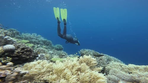 A professional freediver swims using the dolphin kick technique over a coral reef.