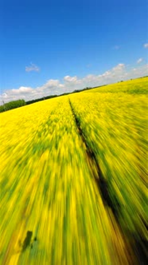 Aerial View Over Colorful Agricultural Field