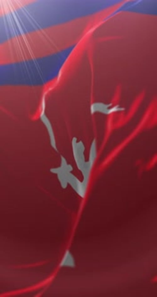 Waving Flag with Celebrating Silhouette Reveal