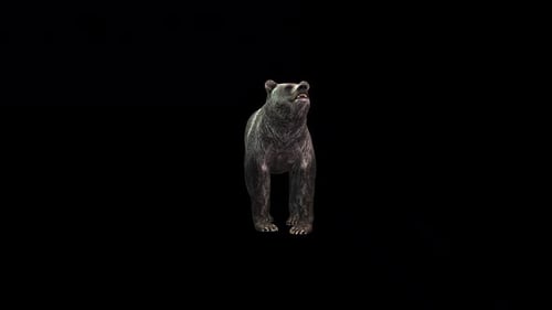 Bear Stand2
