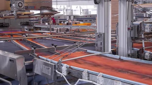 The conveyor belt that transports and checks the eggs in a packaging factory.