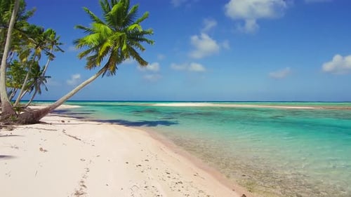 Travel Seascape and Nature Concept - Tropical Beach with Palm Trees In