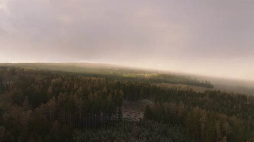 Aerial drone forward moving shot over dense green coniferous forest on a cloudy day.
