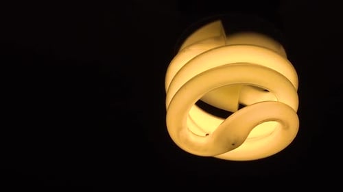 Light bulb turned on in total darkness