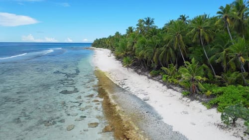 Maldives Island Tropical Coastline Beach with Palms Trees and Ocean Drone View