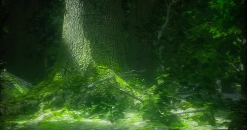 A Giant Tree Stands in a Serene Forest Its Trunk Adorned with Soft Green Moss