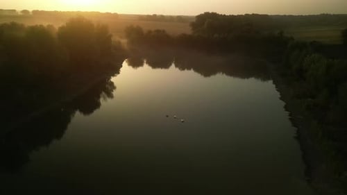 Swans on the lake at sunset. Sunset on the lake in the fields