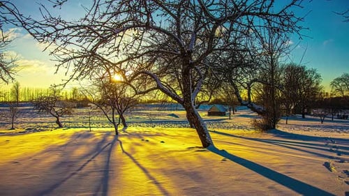 Motionlapse of yellow sunlight on snowy landscape with tree trunks shadows moving. Timelapse