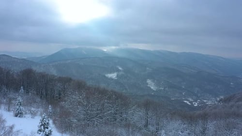 Mountains Hill In The Winter With Snow Covered Trees 11
