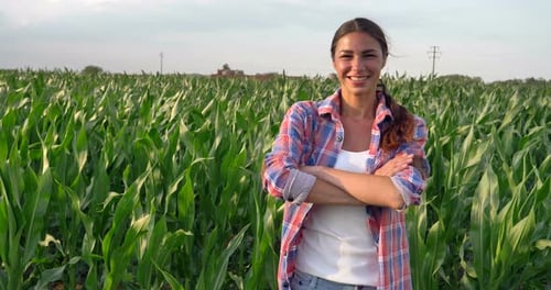 Beautiful girl (woman) farmer smiling, looking, checking cornfield, young tanned, green background