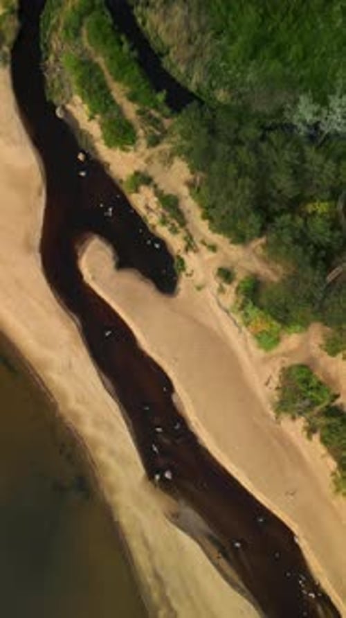 Experience a Breathtaking Aerial View Showcasing a Meandering River and the Surrounding Lush