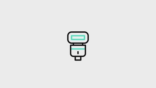 Flash Animated Icon