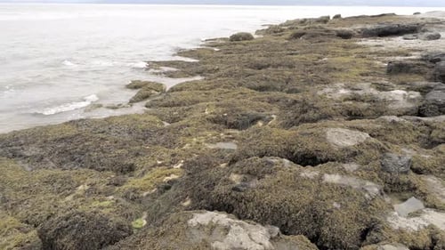 Aerial low angle view above rough rocky seaweed coast rock pool landscape pull back