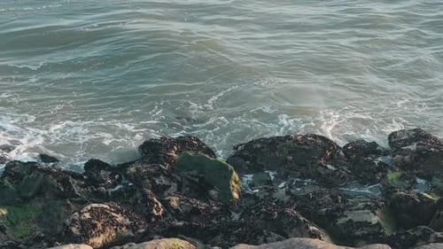 gentle tide caresses dark coastal rocks at low light