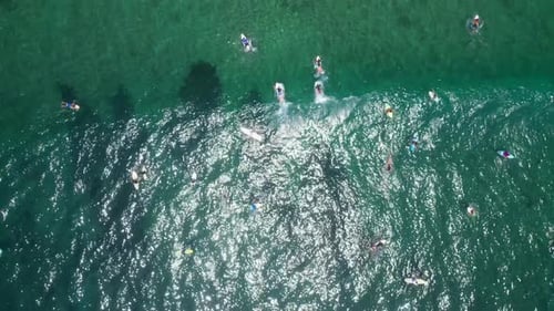 Surfers in Bali - Indonesia.