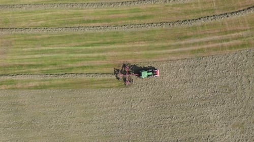 Trator aéreo de cima para baixo com alimentador de feno criando fileiras para coletar, agricultura