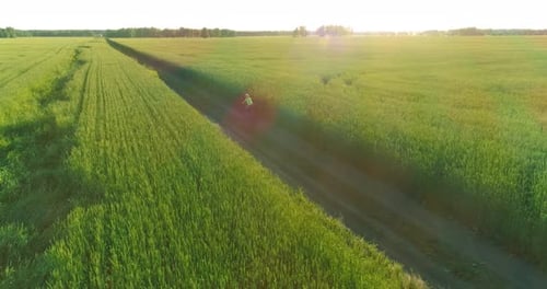 Aerial View on Young Boy That Rides a Bicycle Thru a Wheat Grass Field on the Old Rural Road