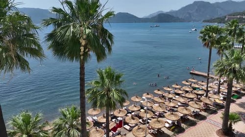 Summer tropical beach