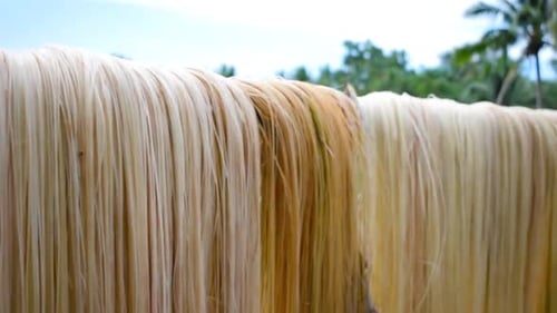 Des tas de fibres d'abaca sèchant au milieu d'une forêt philippine par une journée ensoleillée