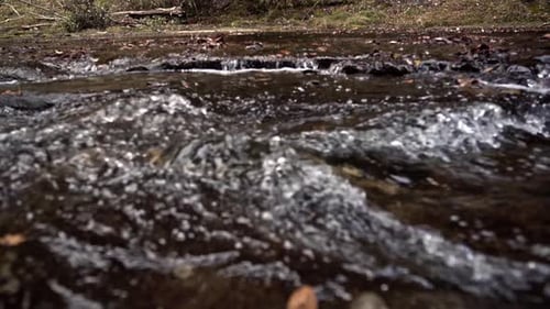 Starke Wasserströmung aus dem Fluss während der Herbstsaison. Weitwinkelaufnahme