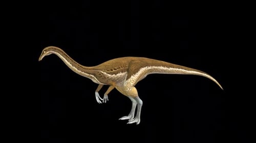 Dinosaure Gallimimus Eat Idle 2