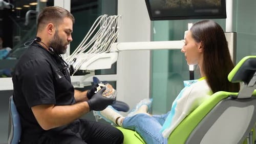 Dentists Hold Models Used for Dental Care Consultations in Dental Clinic